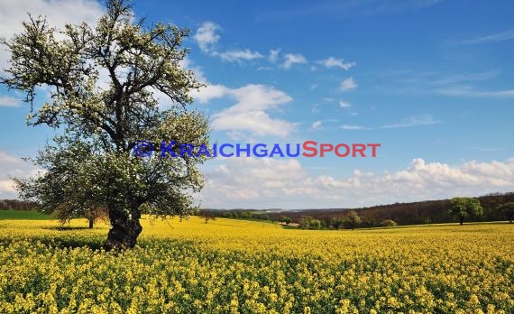 Bildarchiv - Kraichgau (© Siegfried)
